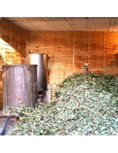 Eau florale BIO de laurier... 2