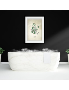 Affiche botanique Myrte vert 2