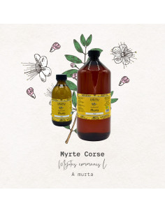 Hydrolat BIO de myrte vert... 2