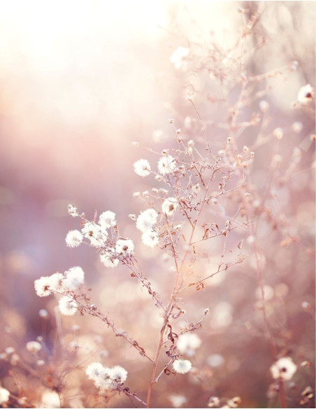 C'est de saison, hiver !