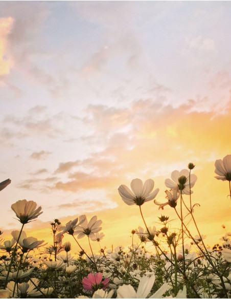 C'est de saison, printemps !
