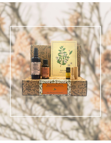 Nouveaux Coffrets Cadeaux Noël 2025