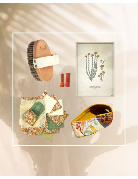 Affiches botaniques & Accessoires de Noël